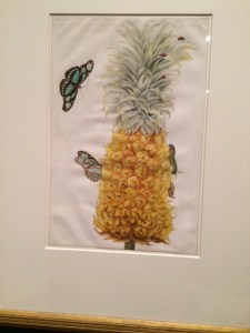 The pineapple, with appropriate insects and butterflies