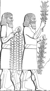 Other people's purchases are endlessly fascinating