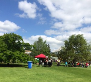 Refreshments under the trees