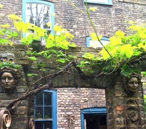 ... and a vine over a brick arch.