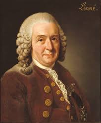 Carl Linnaeus (1707–78)