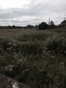 The rural view from the platform.