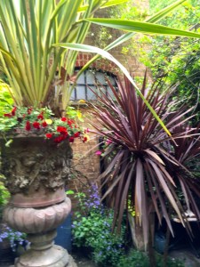 ... and some serious architectural planting.