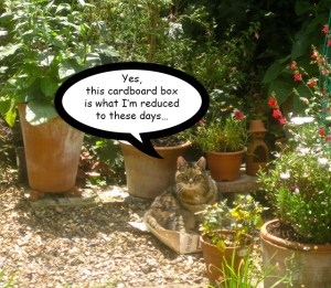 Don't believe a word of it...