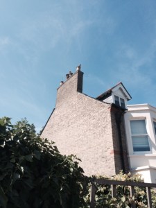 Just round the corner, real chimneys, with added pigeons.