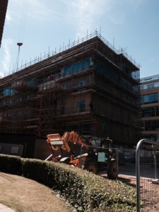 Meet the new neighbours!