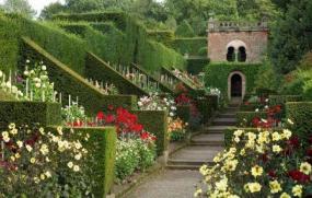 The dahlia borders at Biddulph Grange.
