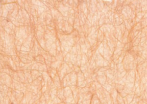 Dyed, decorative abacá paper.