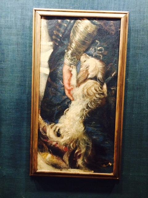 Another lapdog, from a Rubens painting which has been badly cut into pieces.