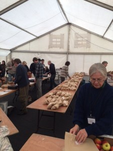 The bagging section.