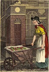 Apples for baking or boiling in the eighteenth century.