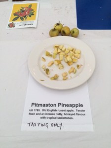 The tiny but dleicious Pitmaston Pineapple, a bestseller.