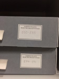 Some of Darwin's specimens.