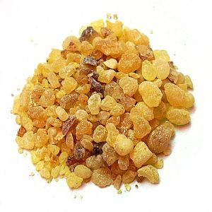 Grains of frankincense resin.
