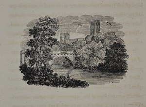 A human fisher on the Wear, by Thomas Bewick; kingfishers almost certainly perch in the overhanging branches on the other side.