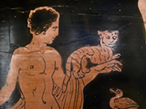 A tabby cat in an unlikely pose.