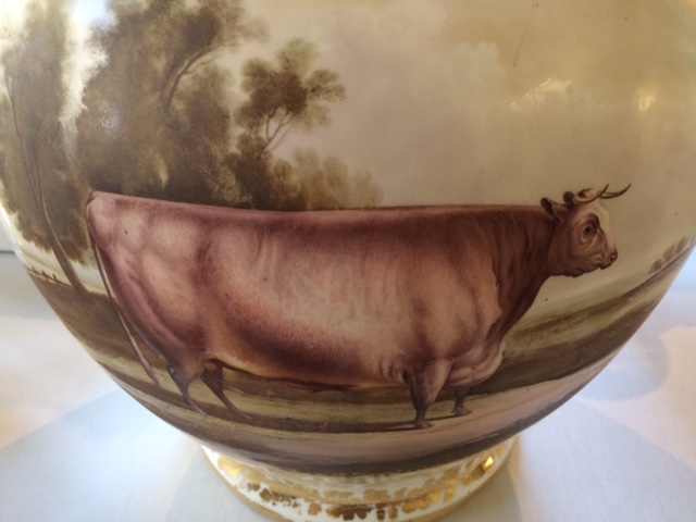 The curve of the jug makes the ox look even bulkier.