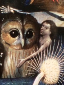 Owls were not a symbol of wisdom but of witchcraft ...