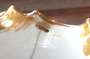 An old crack mended with a metal staple.