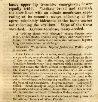 Nuttall's notes on Wisteria.