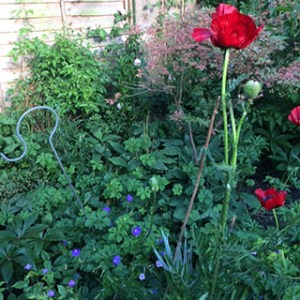 That sinking feeling, when you're pretty sure they're in there somewhere...