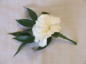 The tradition carnation button-hole, now rapidly being superseded by all sorts of alternatives.