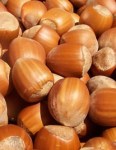 hazelnuts