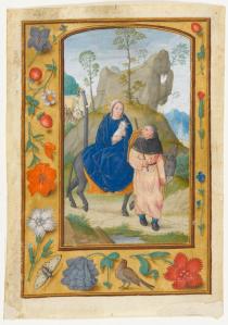 Pinks in the border of Marlay Cutting FL 5a.