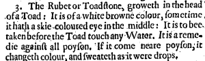 From W.A. Scribonius, Naturall Philosophie ..., trans. Daniel Widdowes, published in London 1631.