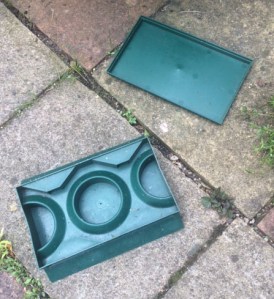 The beer trap. I haven't used it for the last few days, and when I took the lid off to photograph it, a nest of earwigs was revealed...