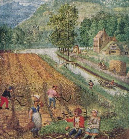 'Reaping', from a Book of Hours by Simon Bening (c. 1483–1561).