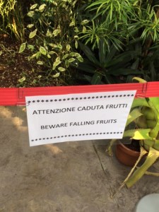 Falling fruits