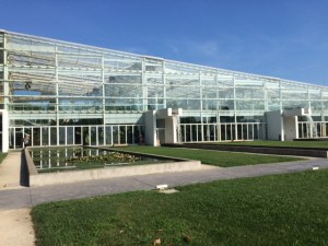 A section of the Biodiversity Garden glasshouses.