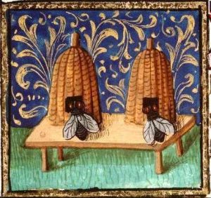 Medieval bee skeps ...