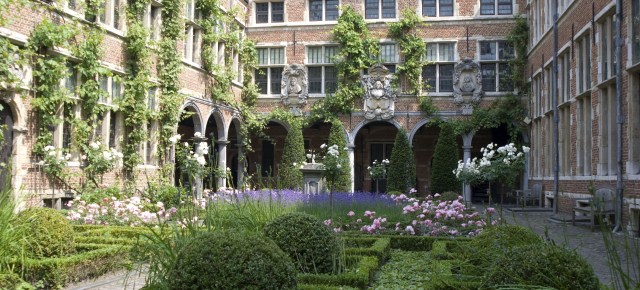 The courtyard garden.