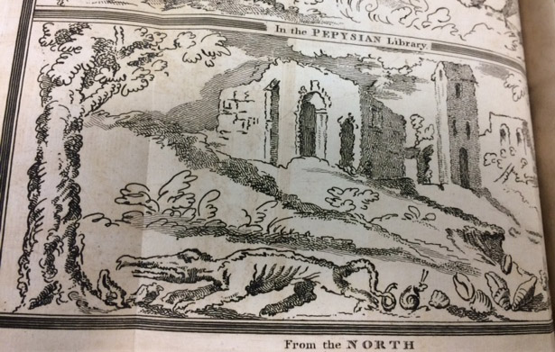 The north side, depicting exotic shells and a rather mangy crocodile. 