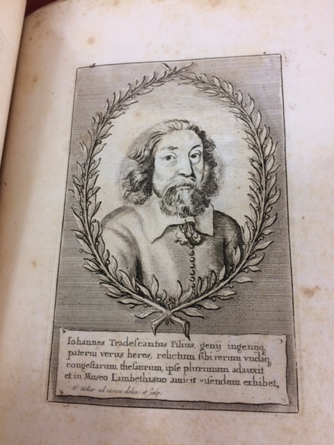 John Tradescant the Younger, also from the pamphlet.