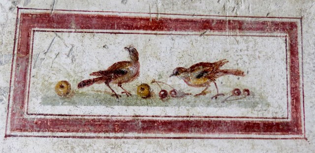 I'm not sure what these birds are – but it would be nice if they were black redstarts, as we saw one on the site ...