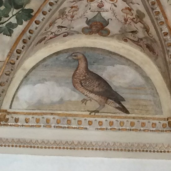 Detail of decoration in Palazzo Grimani.