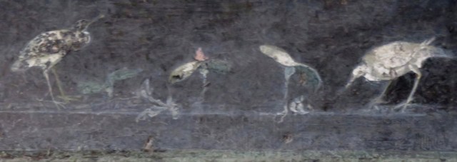 Cranes (or herons or egrets?).