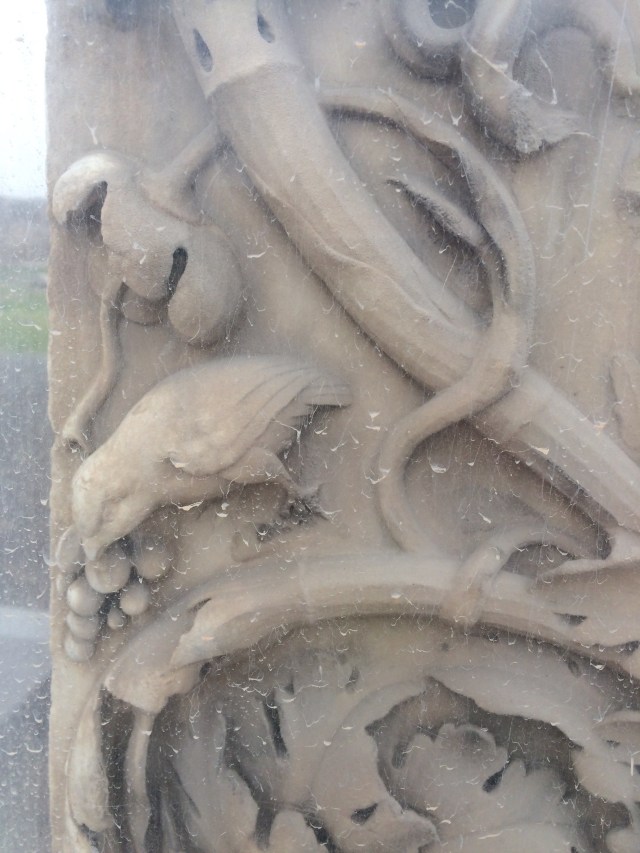 A bird picks at grapes amid foliage.