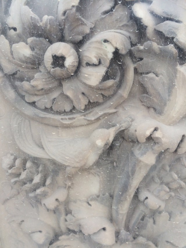 A bird appears to be pecking at a beetle.