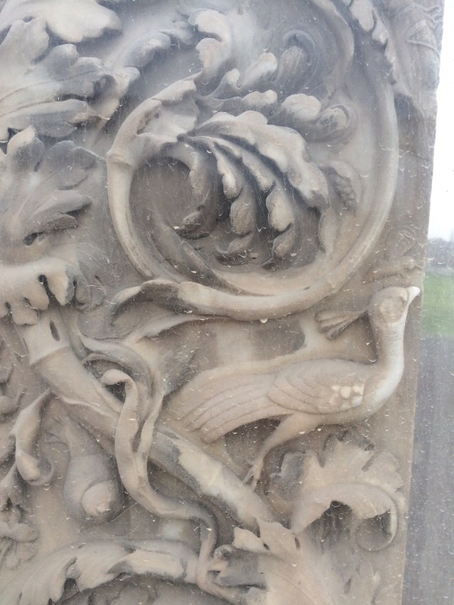 Another snail, next to a peacock.