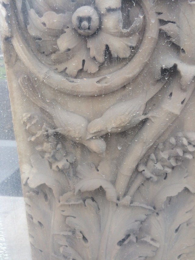 A bird seems to be grasping another by the neck. 